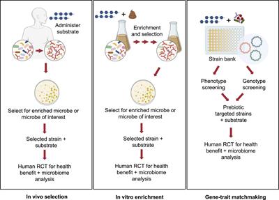 The Future of Synbiotics: Rational Formulation and Design